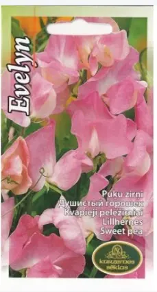 Lillhernes Evelyn 2 g
