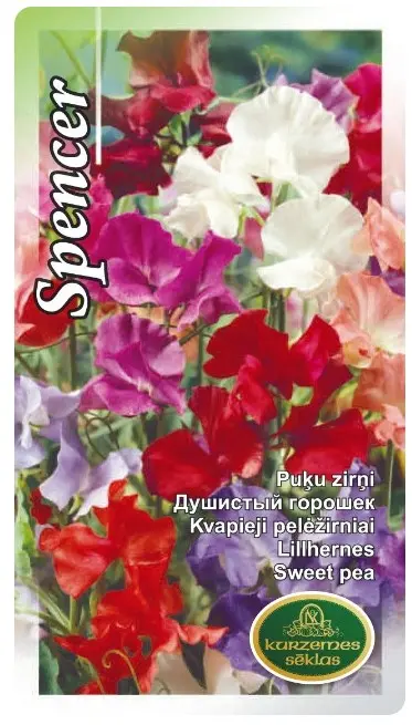 Lillhernes Spencer segu 2 g