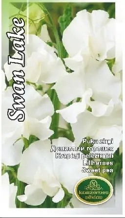 Lillhernes Swan Lake 2 g