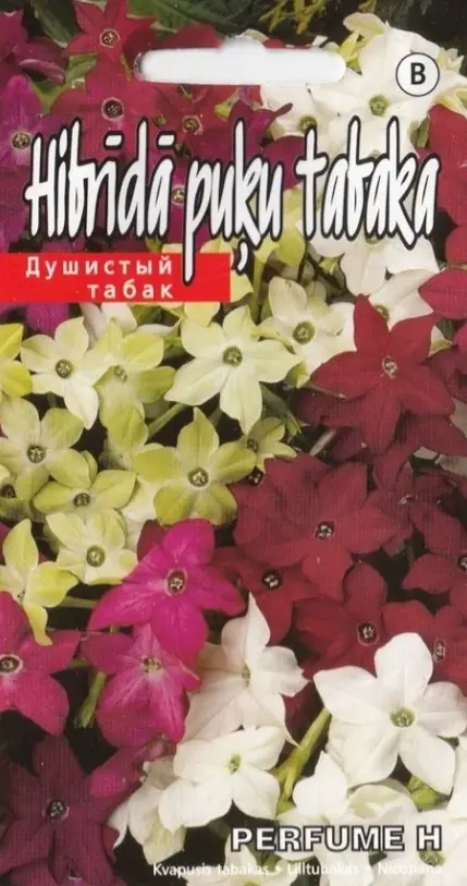 Lilltubakas Perfume F1 30 s