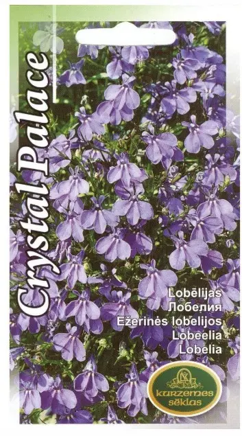 Lobeelia Crystal Palace 0,1 g