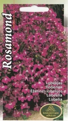 Lobeelia Rosamond 0,1 g