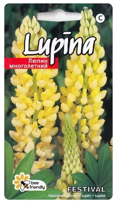 Lupiin Festival P1 2g