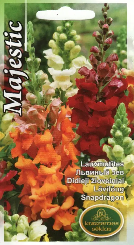 Lõvilõug Majestic segu 0,5 g