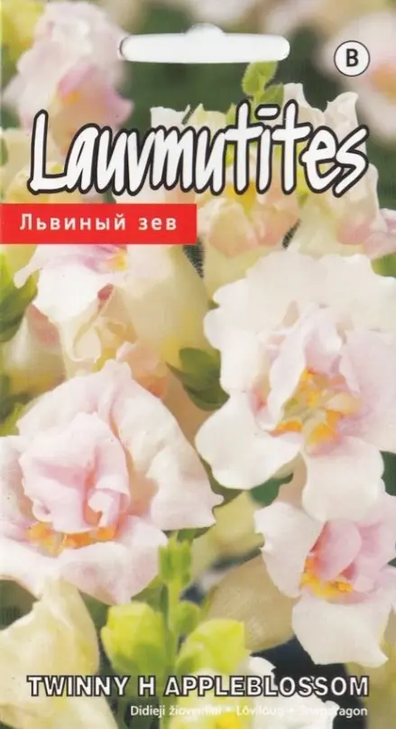 Lõvilõug Twinny F1 Appleblossom 10 s