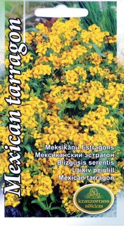 Läikiv peiulill e. mehhiko estragon 0,1 g