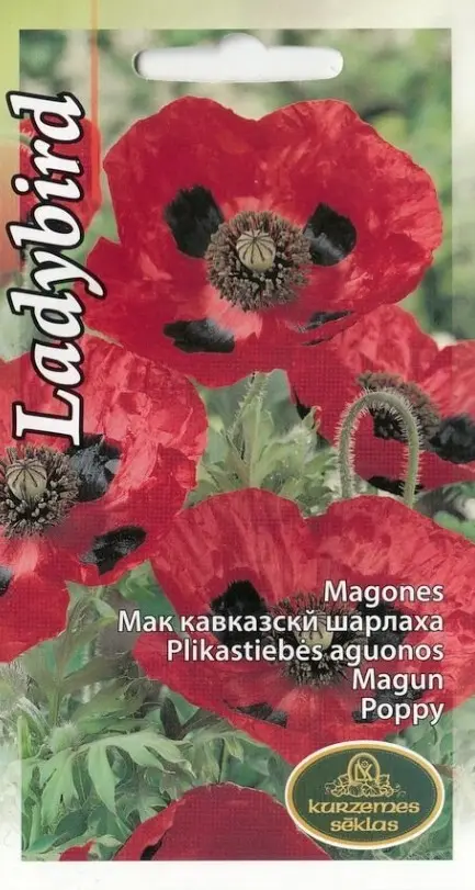 Magun Ladybird 0,1g