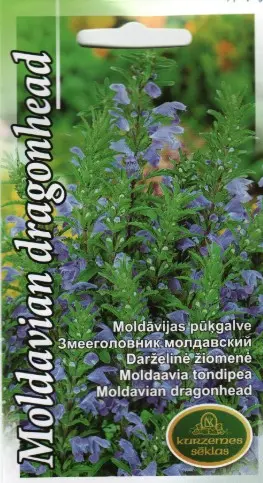 Moldaavia tondipea (valkjas tondipea) 0,5 g