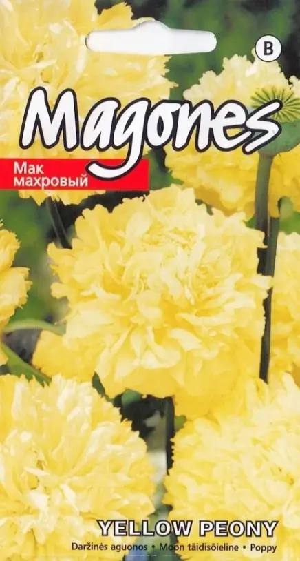 Moon täidisõieline Yellow Peony 0,5g