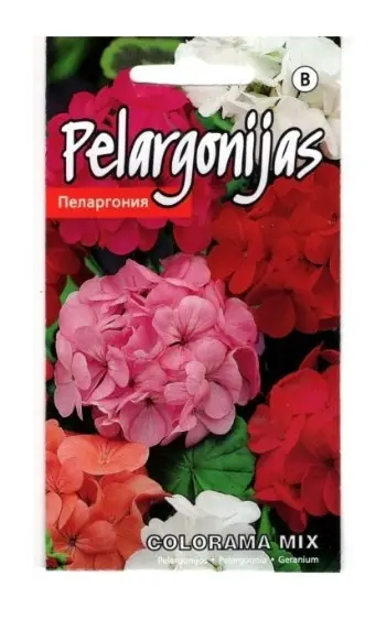 Pelargoon Colorama mix 0,1g