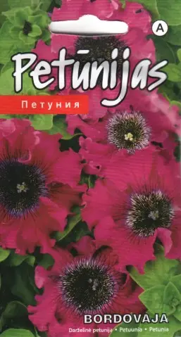 Petuunia Bordovaja 15 s