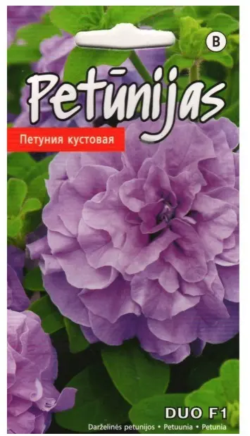 Petuunia Duo H Lavander 15 s