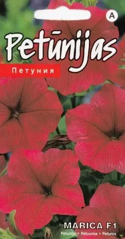 Petuunia Marika F1 15 s