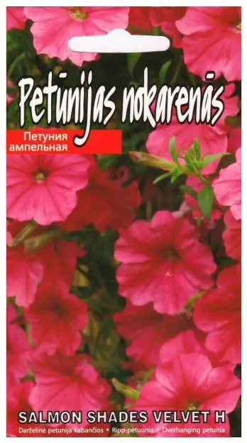 Petuunia Salmon Shades Velvet F1 15 s