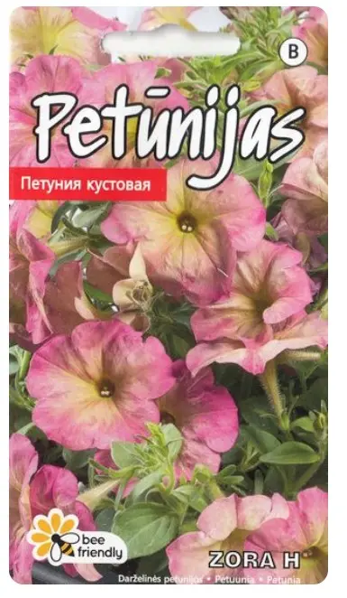 Petuunia Zora H 15s