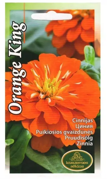 Pruudisõlg Orange King 1 g