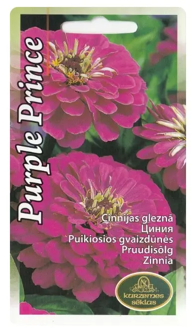 Pruudisõlg Purple Prince 1 g