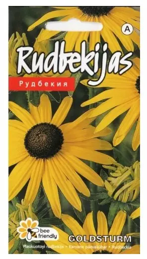 Päevakübar Goldsturm 0.1 g