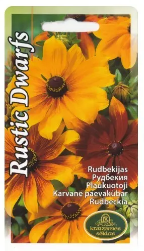 Päevakübar Rustic Dwarfs 0,3 g