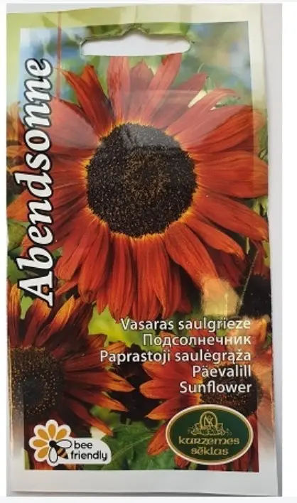 Päevalill Abendsonne 1g