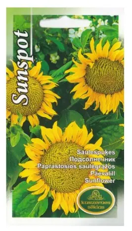 Päevalill Sunspot 2 g