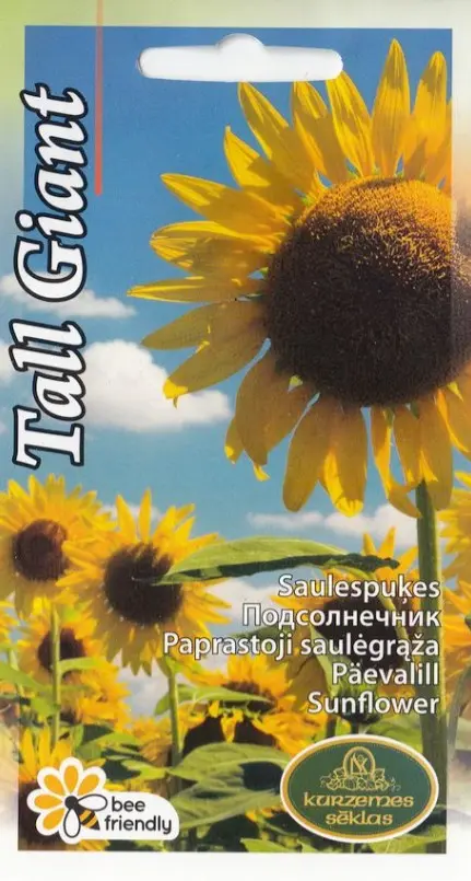 Päevalill Tall Giant 2g