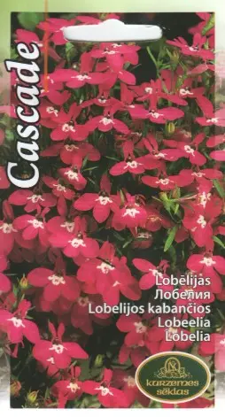 Ripplobeelia punane 0,1 g