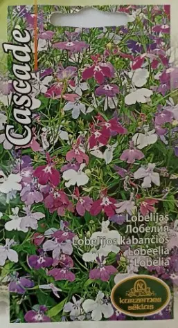 Ripplobeelia segu 0,1 g