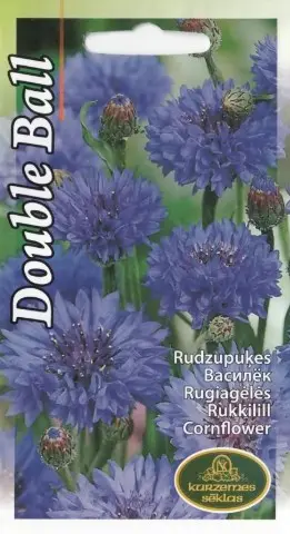 Rukkilill Dark sinine 1 g