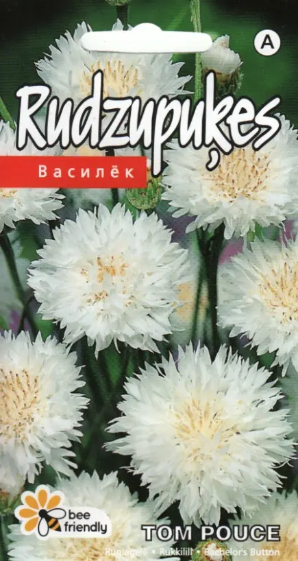 Rukkilill Tom Pouce valge 0,4 g