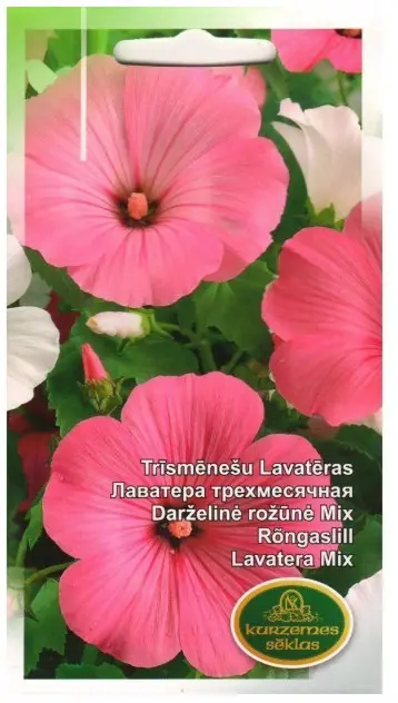 Rõngaslill segu 1 g