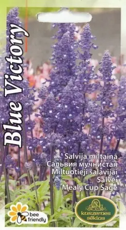 Salvei Blue Victory 0,1 g