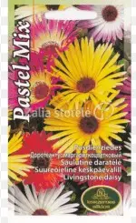 Suureõieline keskpäevalill (Kollane keskpäevalill) Pastel 0,2 g