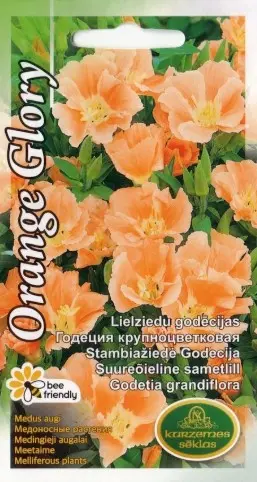 Suureõieline sametlill Orange Glory 0,3 g