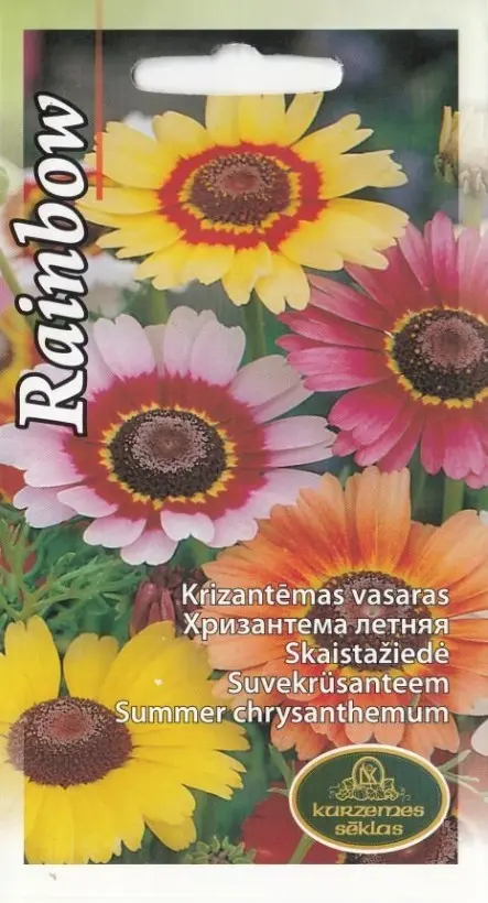 Suvekrüsanteem Rainbow 1 g