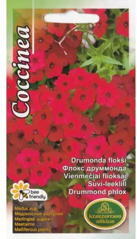 Suvi-leeklill Coccinea punane 0,3 g