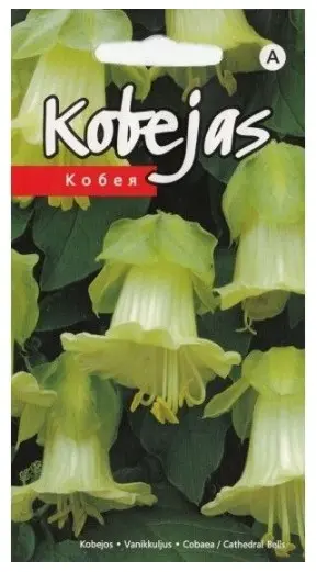 Vanikkuljus valge 5 s