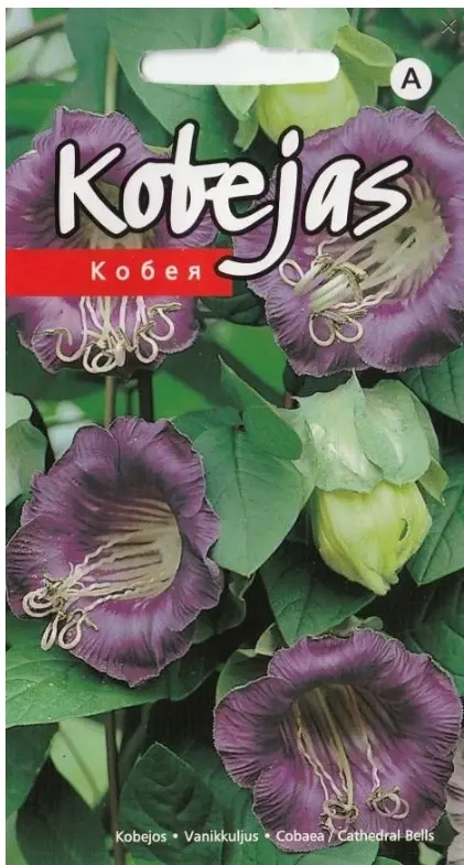 Vanikkuljus violetne 0,5 g