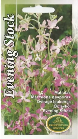 Öölevkoi  Evening Stock 1,5 g