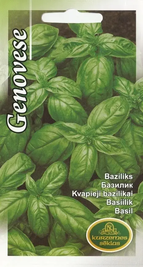 Basiilik Genovese 1 g