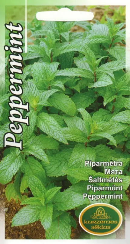 Piparmünt 0,1 g
