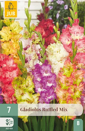 Gladiool Mix 12/14 7tk 