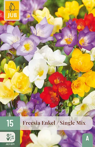 Freesia ´Single´ Mix 5/+ 15tk 