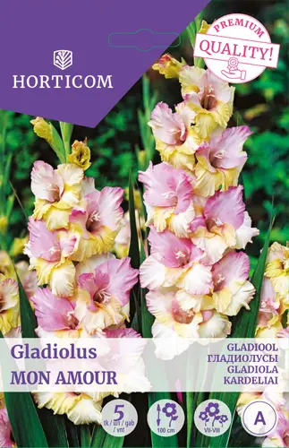 Gladiool ´Mon Amour´ 5tk 