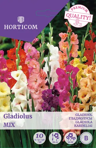Gladiool Mix 10tk 