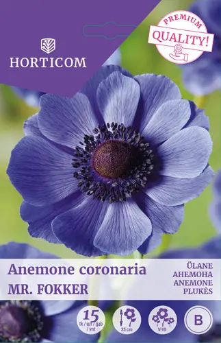 Kroonjas ülane ´Anemone Coronaria Mr Fokker´ 15tk 