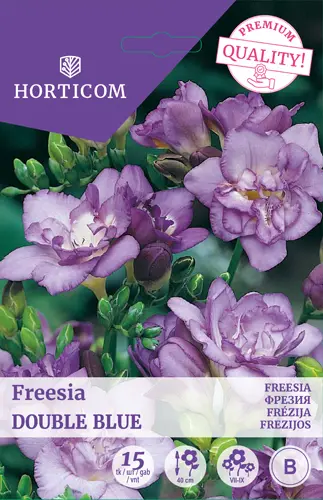 Freesia ´Double Blue´ 15tk 