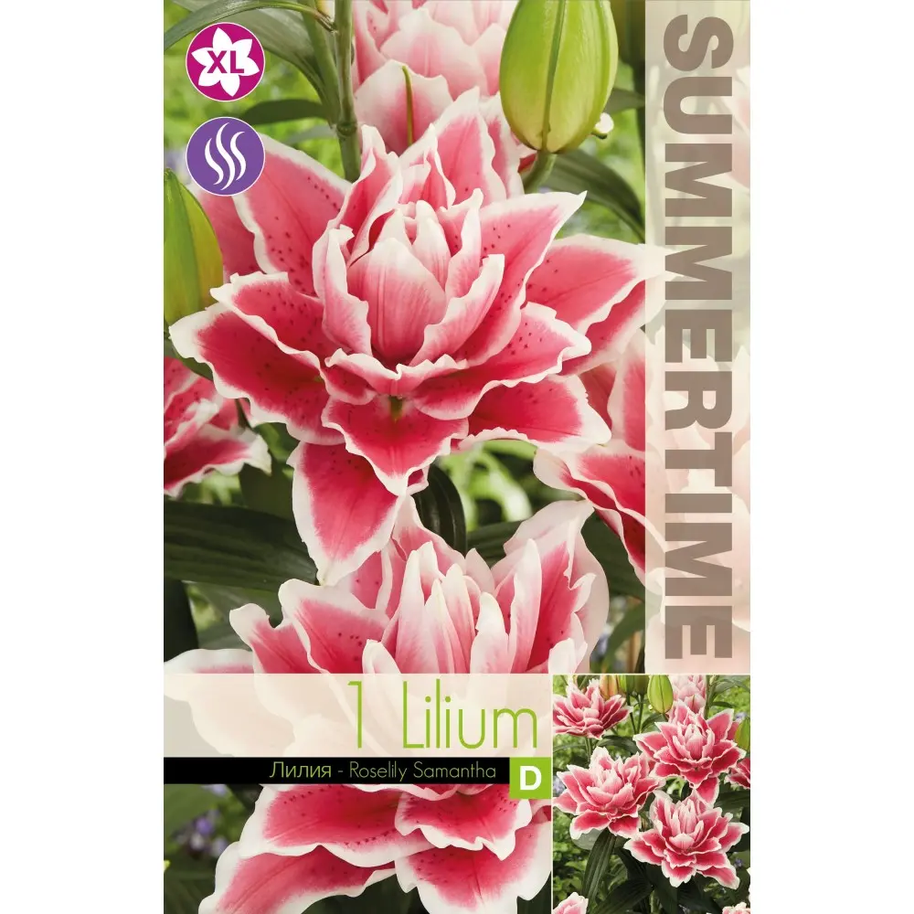 Liilia ´ROSELILY SAMANTHA´ 1tk