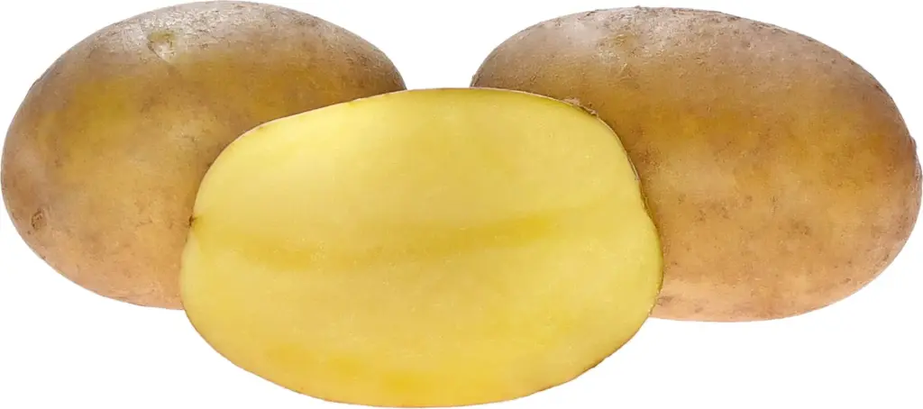 Paroli seemnekartul 2,5 kg