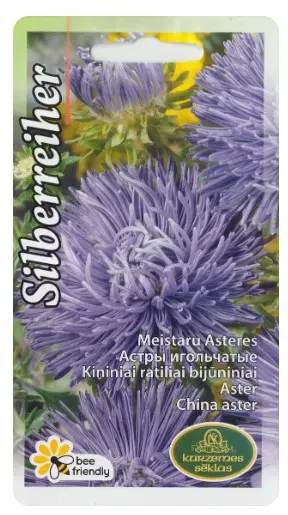 Aster Silberreiher 0,5g lilla 